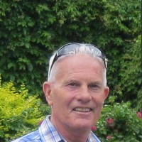 Robin Windle