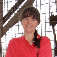 Diane Connelly