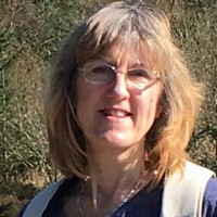 Jan Fotheringham