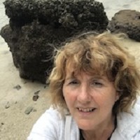 Sue Ingham